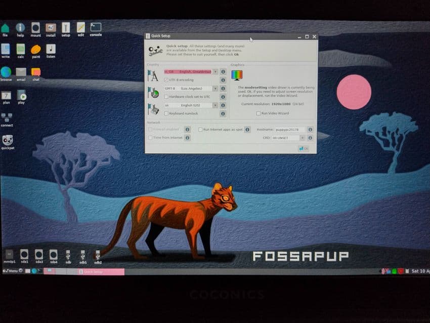 Screenshot of Fossapup, 2022